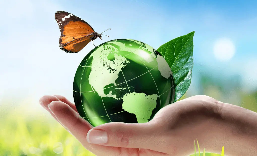 Why choosing eco-friendly? - CLAYER