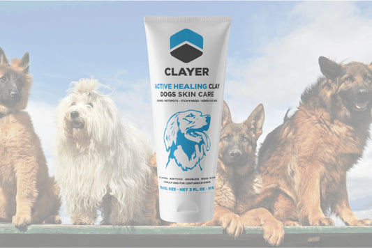 Active Dog Healing Clay - CLAYER
