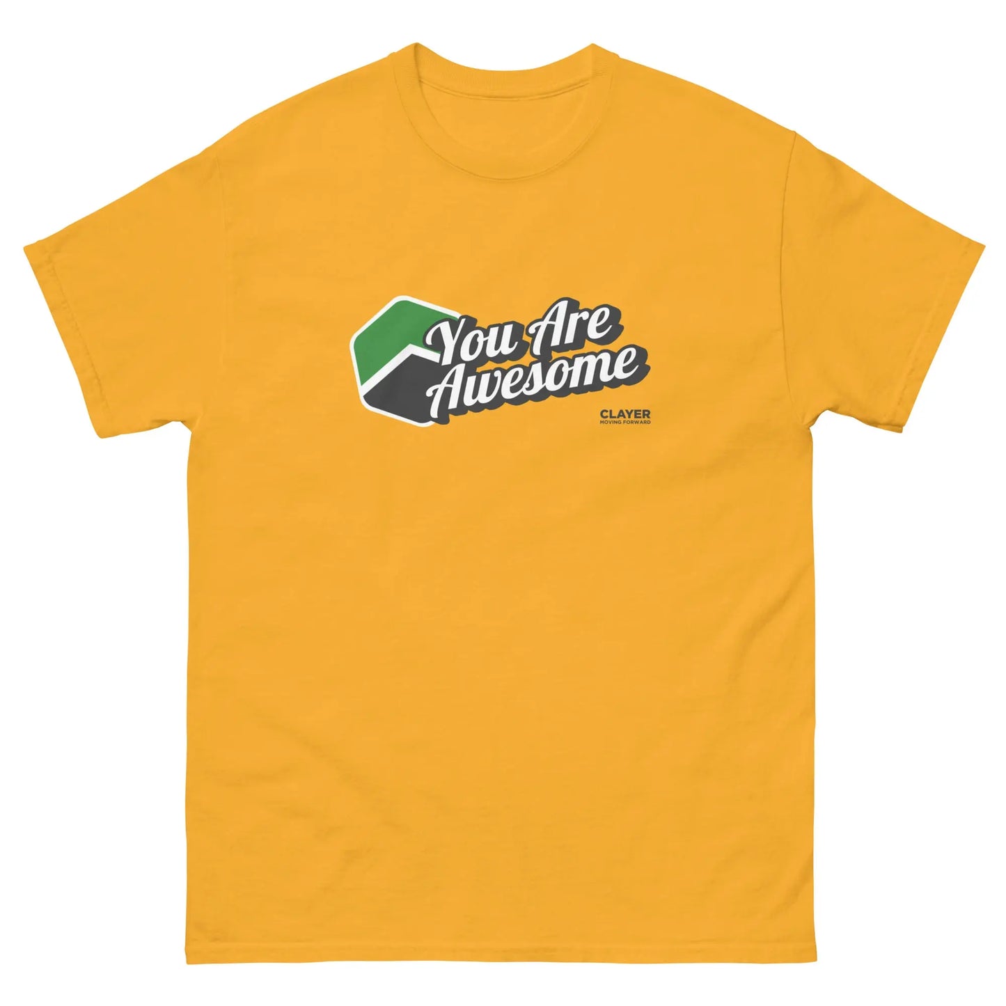 You are Awesome - 100% Cotton - Unisex classic tee CLAYER- green clay - healing clay - bentonite clay