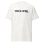 Born in America - Unisex classic tee CLAYER- green clay - healing clay - bentonite clay